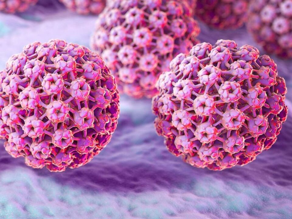Classification of papilloma virus